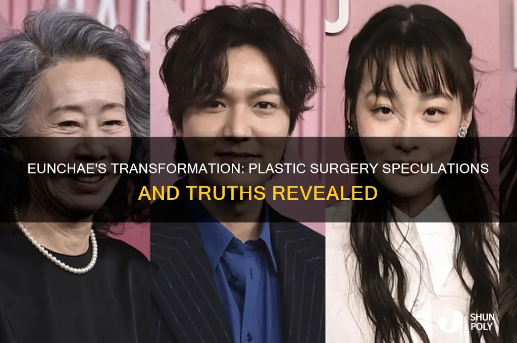 did eunchae get plastic surgery