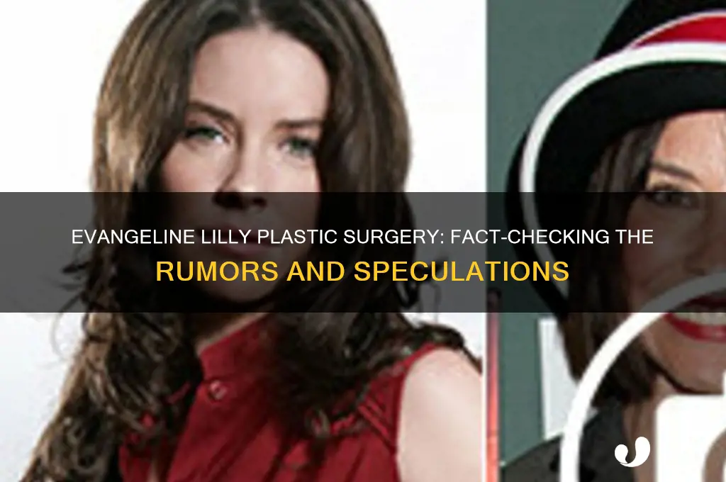 did evangeline lilly have plastic surgery