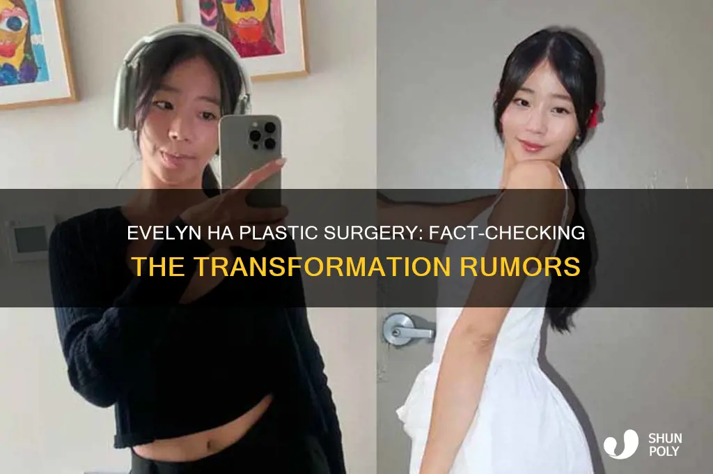 did evelyn ha get plastic surgery