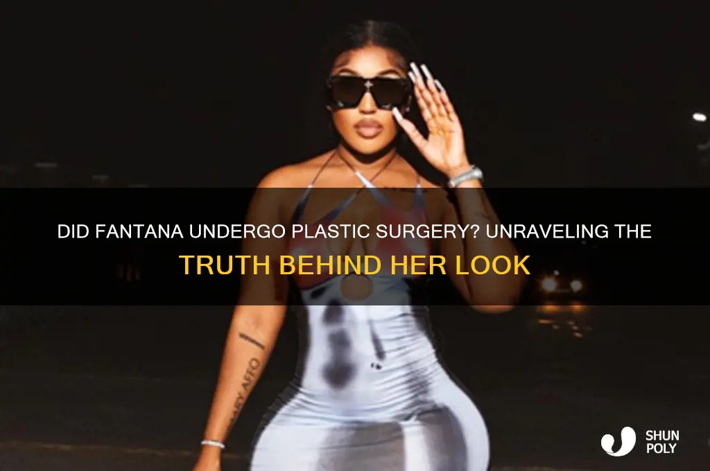 did fantana have plastic surgery