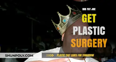 Fat Joe's Transformation: Plastic Surgery Rumors and Reality Revealed
