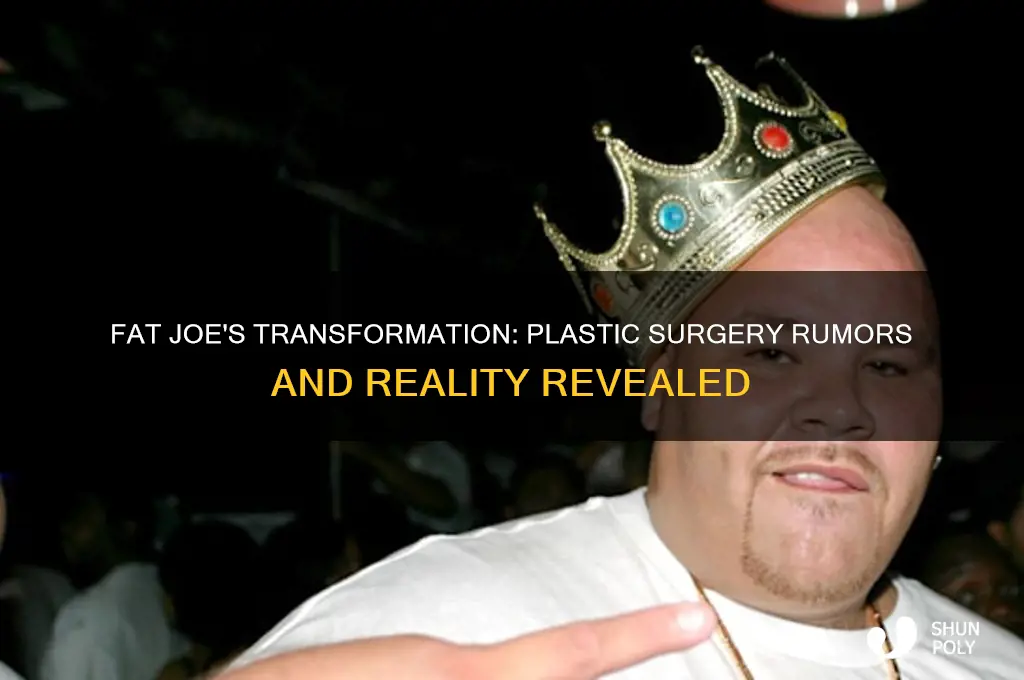 did fat joe get plastic surgery