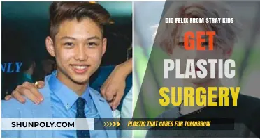 Felix from Stray Kids: Plastic Surgery Rumors Explored