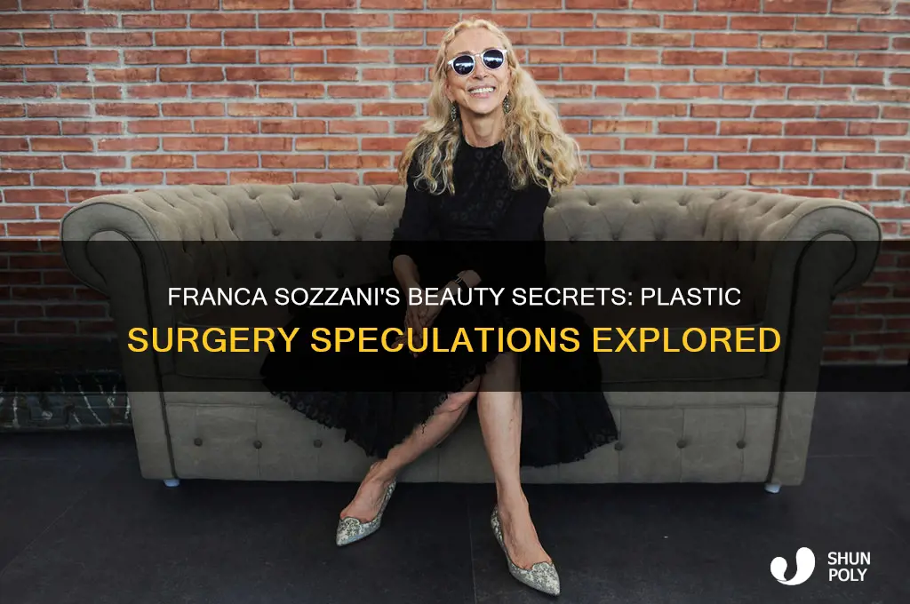 did franca sozzani have many plastic surgery