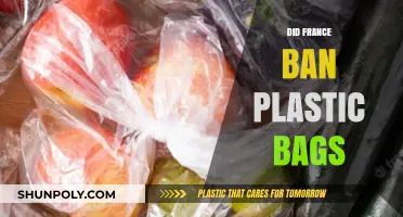 France's Plastic Bag Ban: A Success Story