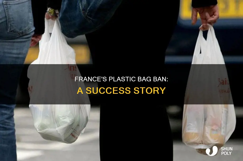 did france ban plastic bags