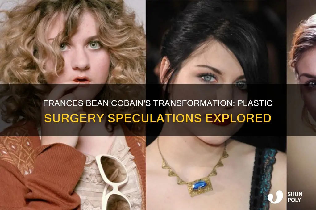 did frances bean cobain have plastic surgery