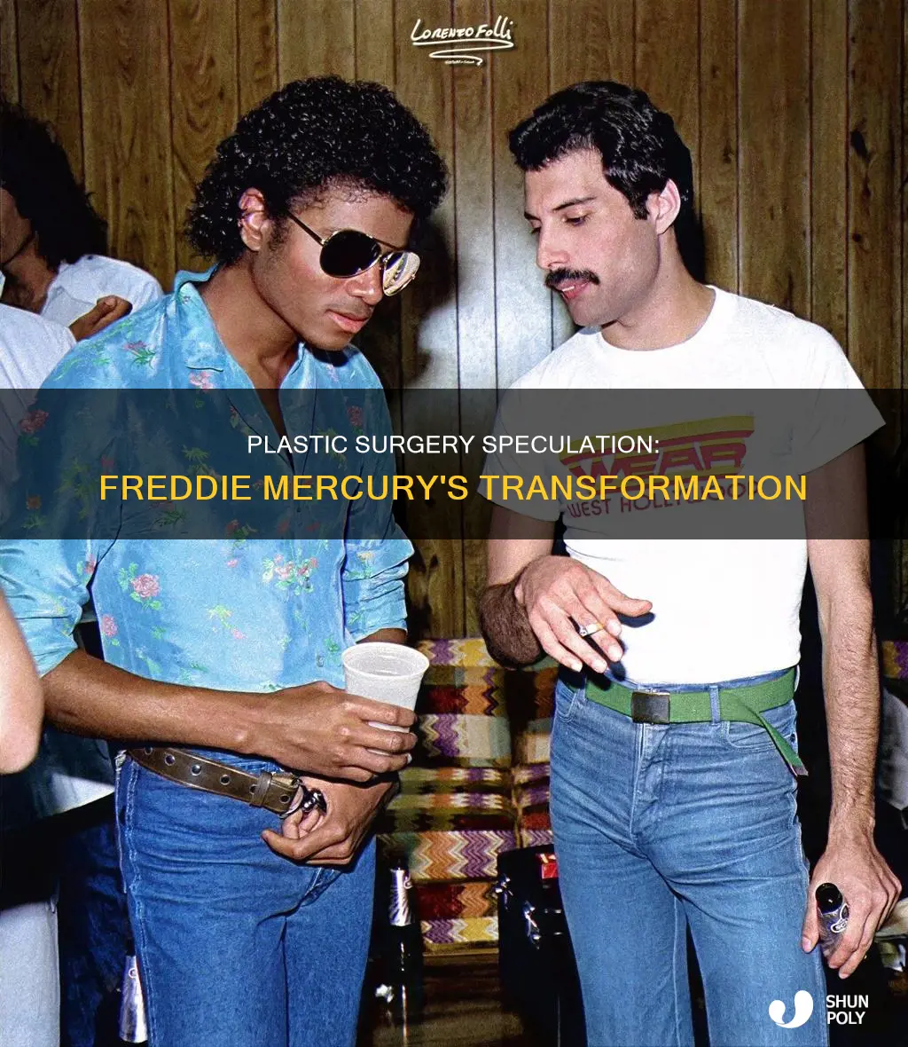 did freddie mercury have plastic surgry
