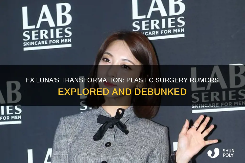 did fx luna get plastic surgery