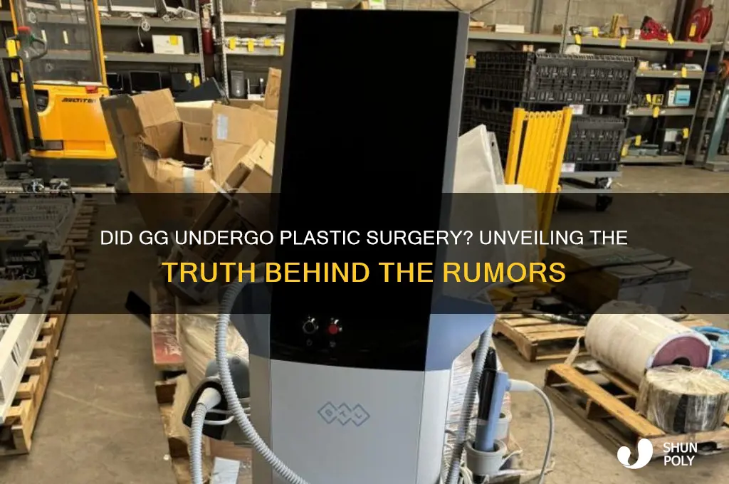 did gg have plastic surgery