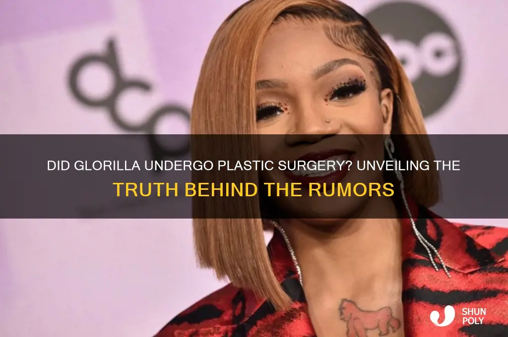 did glorilla get plastic surgery