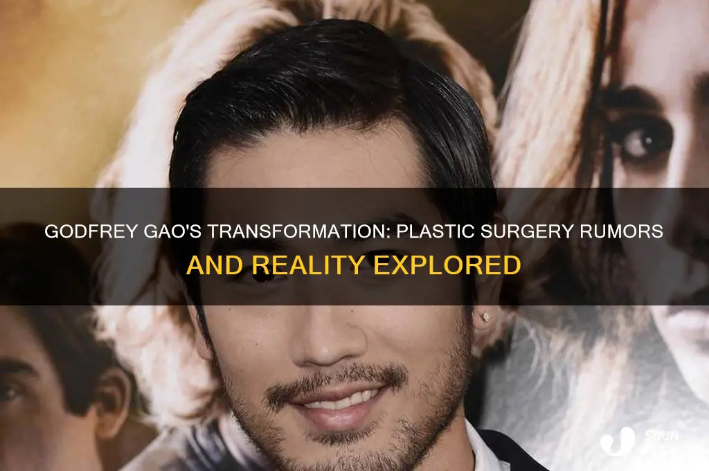 did godfrey gao have plastic surgery