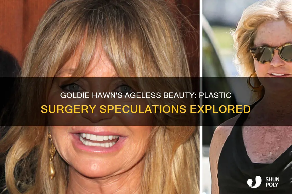 did goldie hawn get plastic surgury