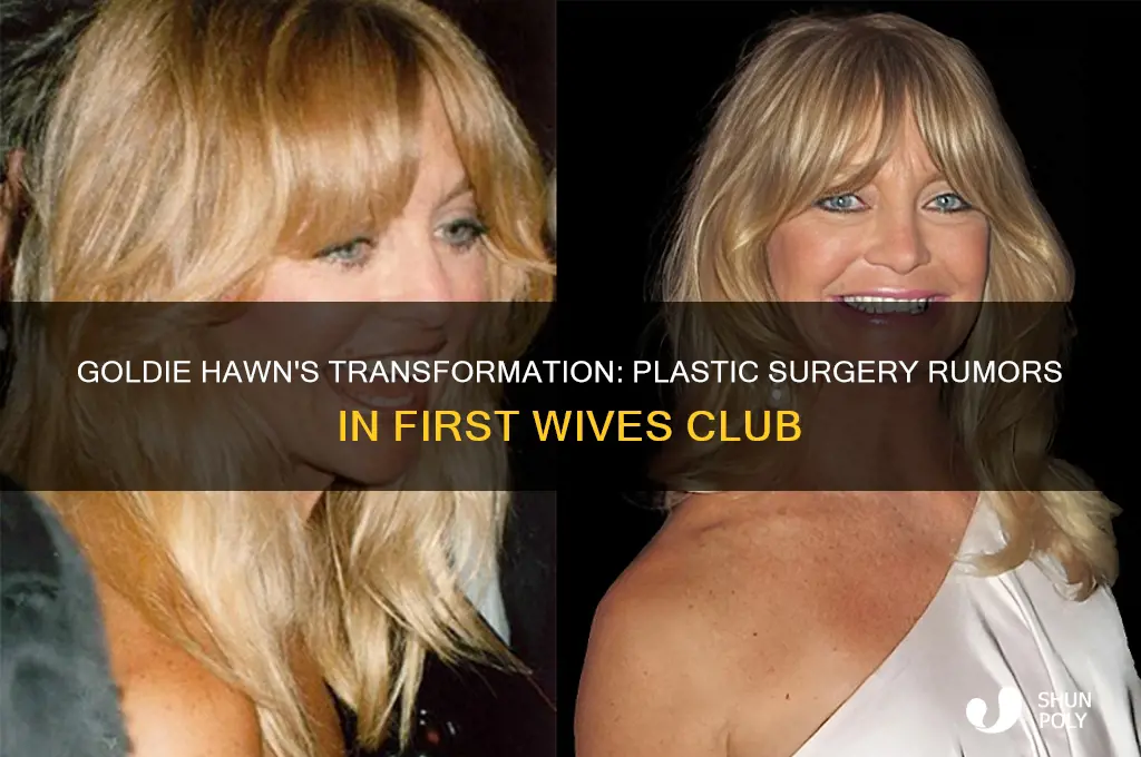 did goldie hawn have plastic surgery for first wive