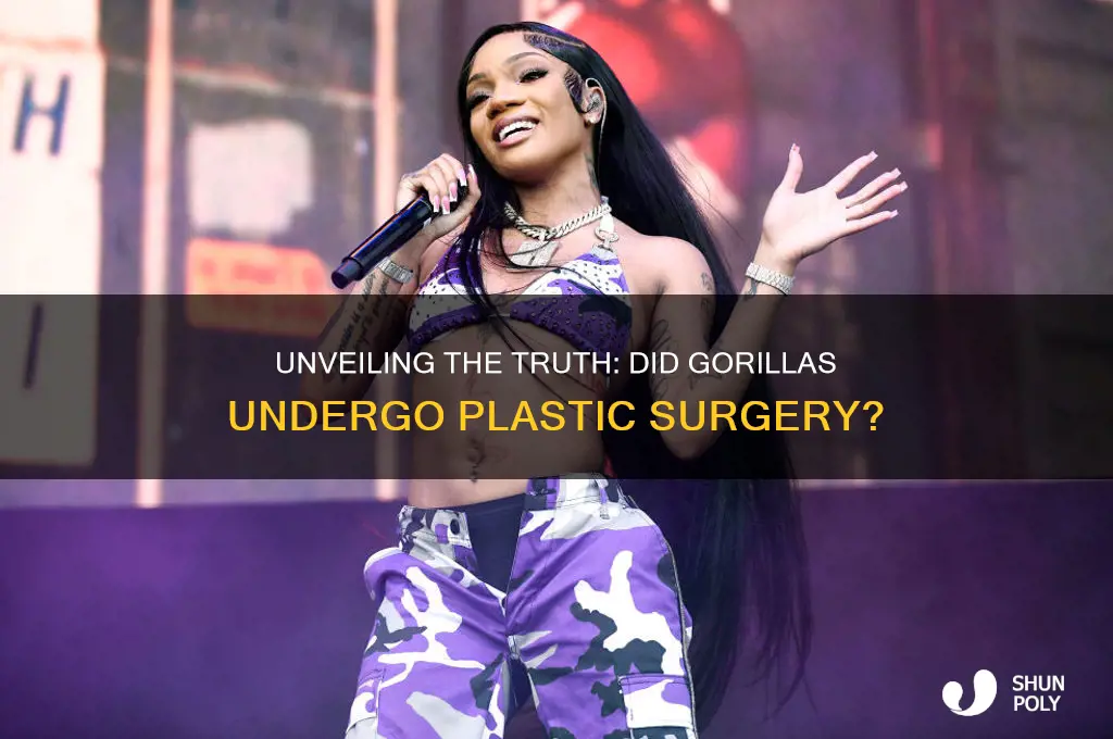 did gorilla have plastic surgery