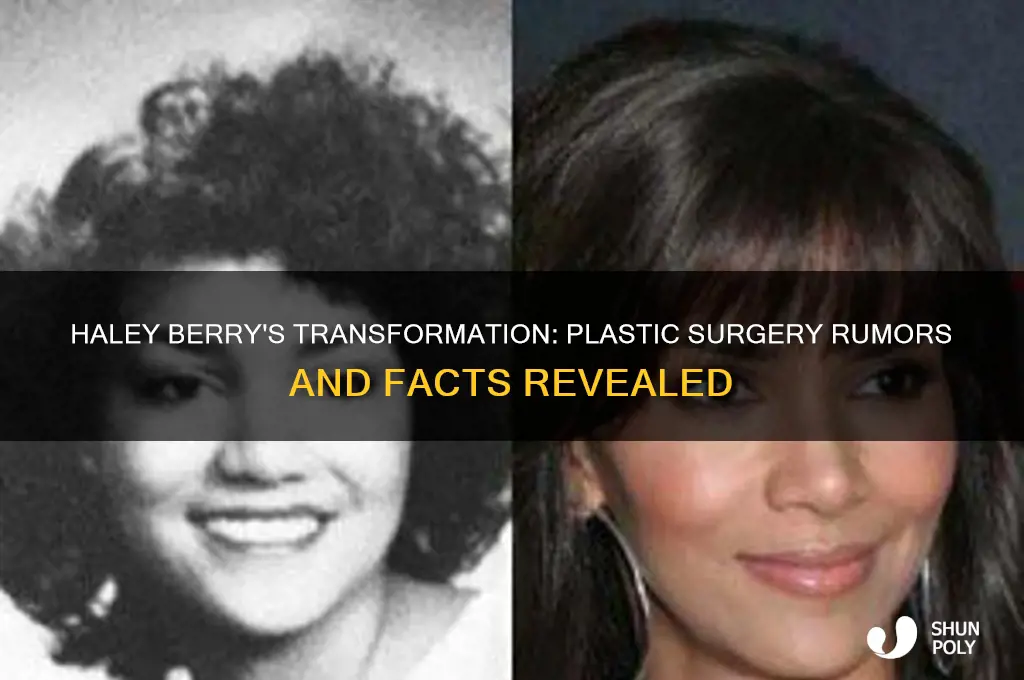 did haley berry have plastic surgery