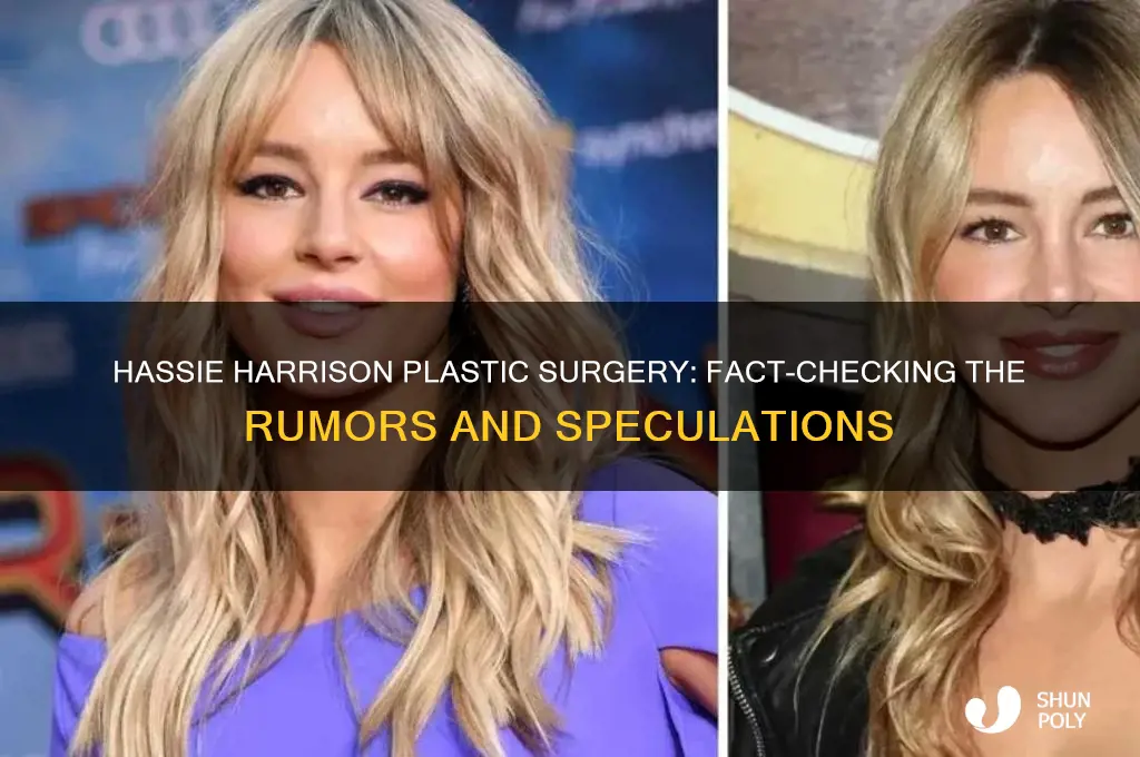 did hassie harrison get plastic surgery