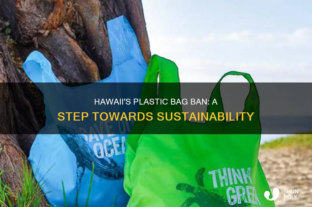 did hawaii ban plastic bags