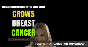 Heated Plastic Bottles and Sheryl Crow's Breast Cancer: Fact or Fiction?