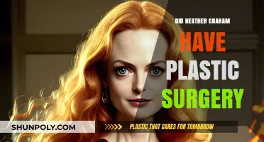 Heather Graham's Transformation: Plastic Surgery Rumors Explored and Debunked