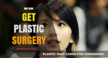 Hebe's Transformation: Unveiling the Truth About Plastic Surgery Rumors