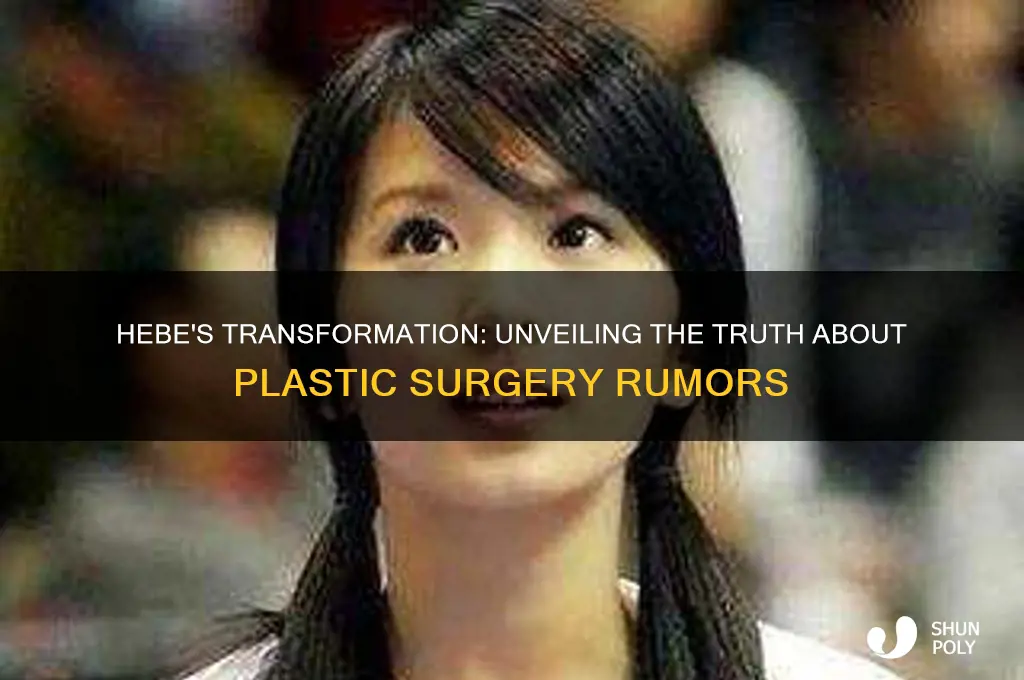 did hebe get plastic surgery