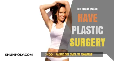 Hilary Swank's Transformation: Plastic Surgery Rumors Explored