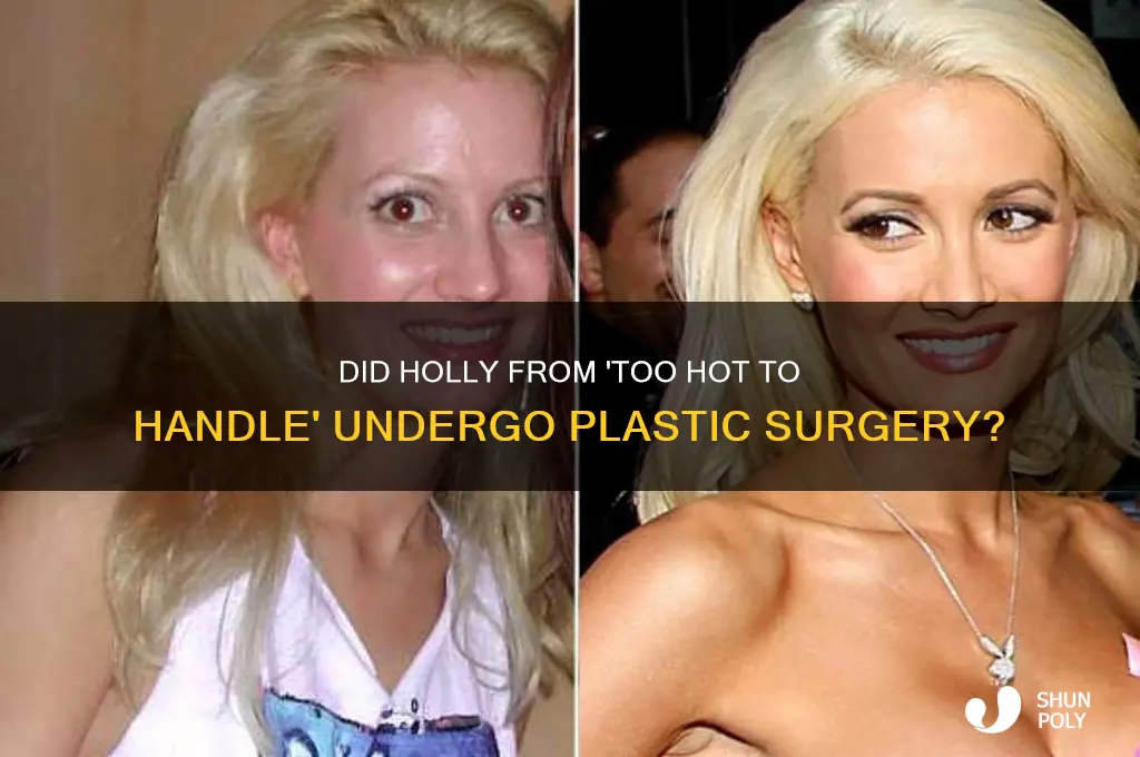 did holly from too hot to handle get plastic surgery