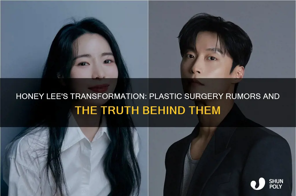 did honey lee get plastic surgery