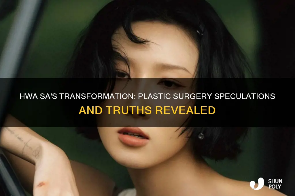 did hwa sa have plastic surgery