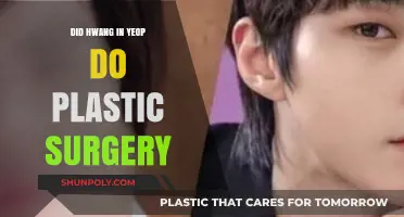 Hwang In Yeop Plastic Surgery: Fact or Fiction?