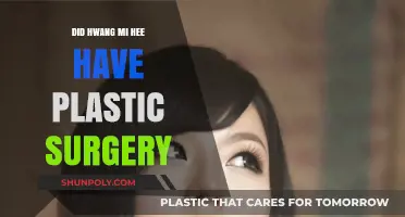Hwang Mi Hee's Transformation: Plastic Surgery Speculations Explored