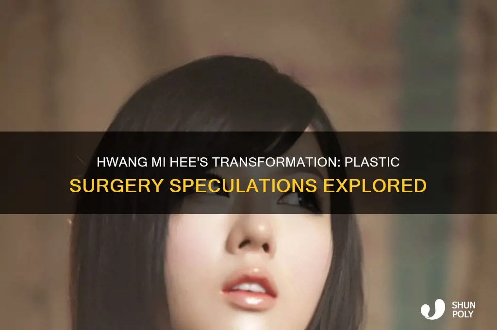 did hwang mi hee have plastic surgery