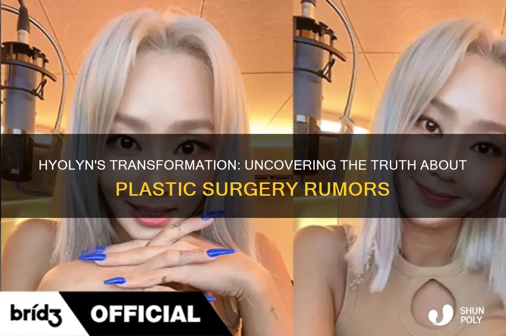 did hyolyn get plastic surgery
