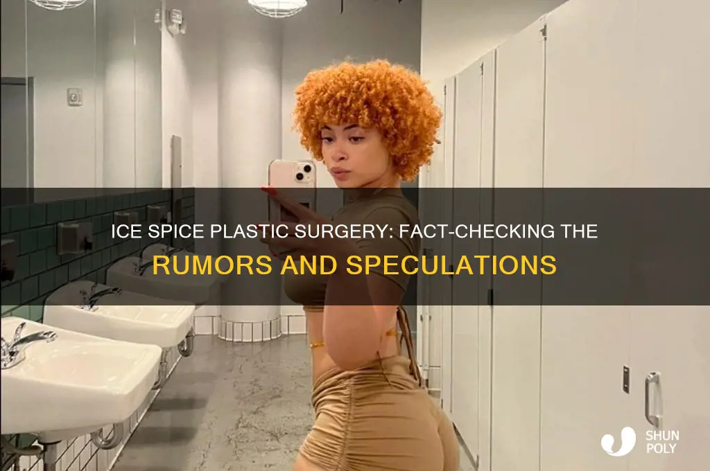 did ice spice do plastic surgery