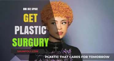 Ice Spice Plastic Surgery Rumors: Fact or Fiction?