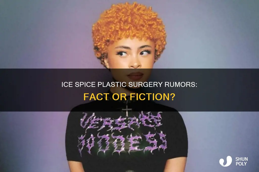 did ice spice get plastic surgury