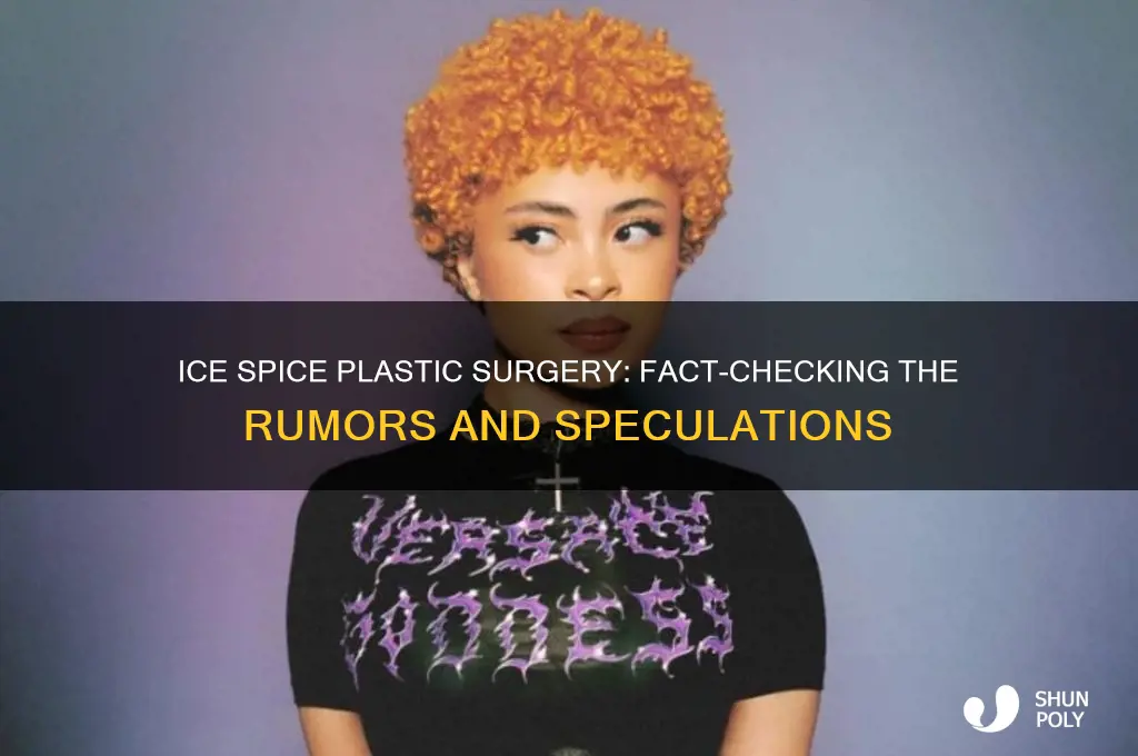did ice spice have plastic surgery