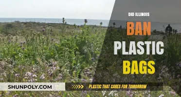 Illinois Bans Plastic Bags: What You Need to Know