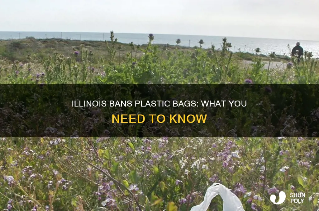 did illinois ban plastic bags