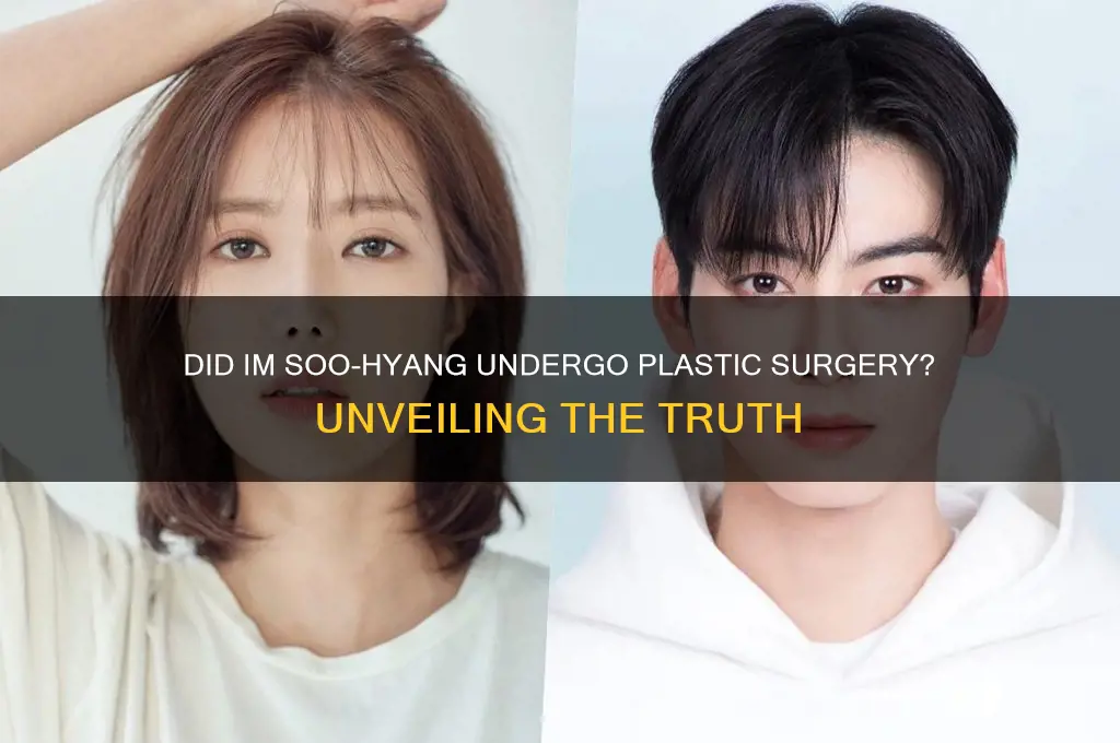 did im soo-hyang get plastic sugery