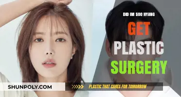 Im Soo Hyang Plastic Surgery: Fact-Checking the Rumors and Speculations