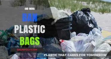 India's War on Plastic Bags
