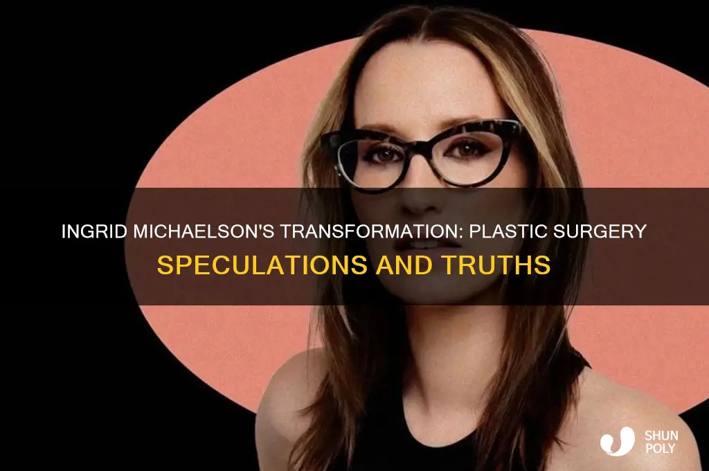 did ingrid michaelson get plastic surgery