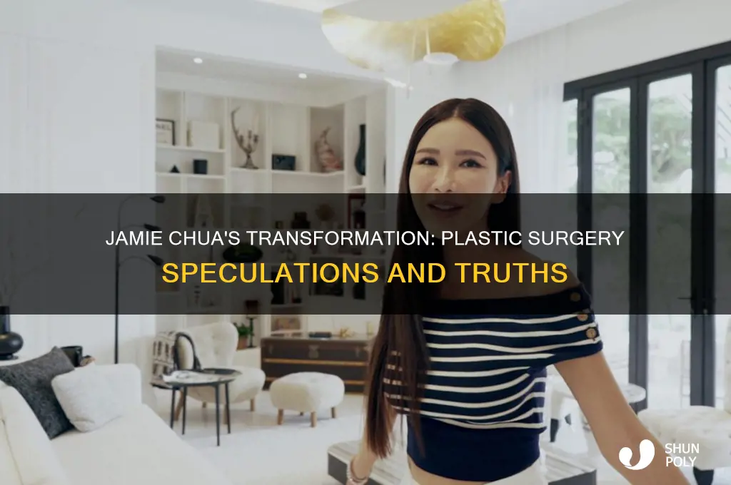 did jamie chua did plastic surgery