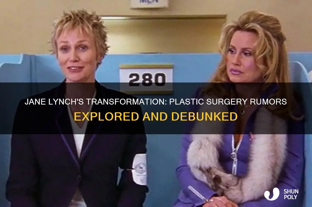 did jane lynch have plastic surgery