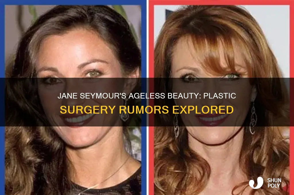 did jane seymour have plastic surgery