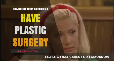 Janelle Pierzina's Transformation: Plastic Surgery Rumors Explored
