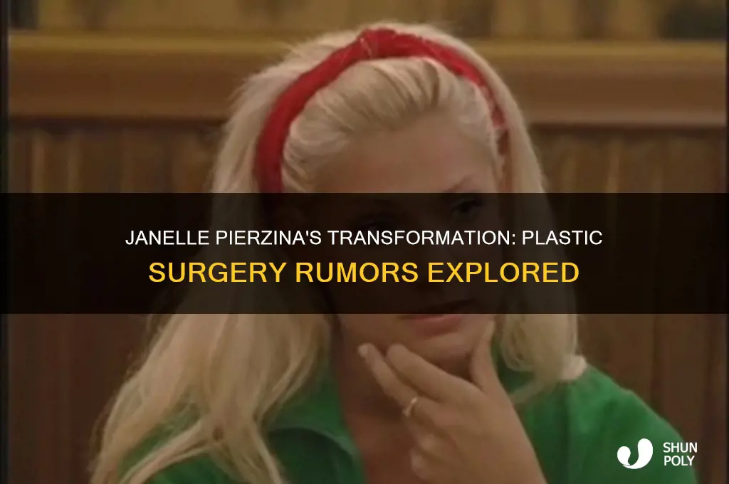 did janelle from big brother have plastic surgery