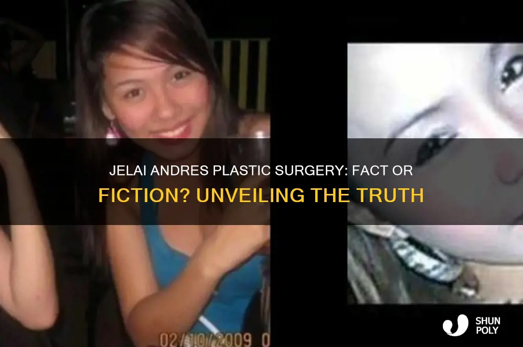 did jelai andres got plastic surgery